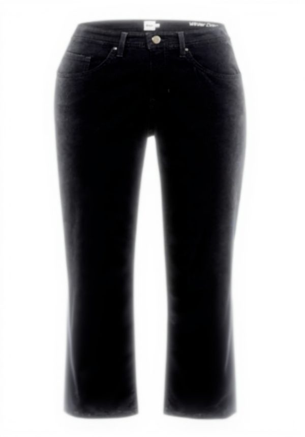 Pantalon femme BRAX Style Carola Winterdream confort élégant