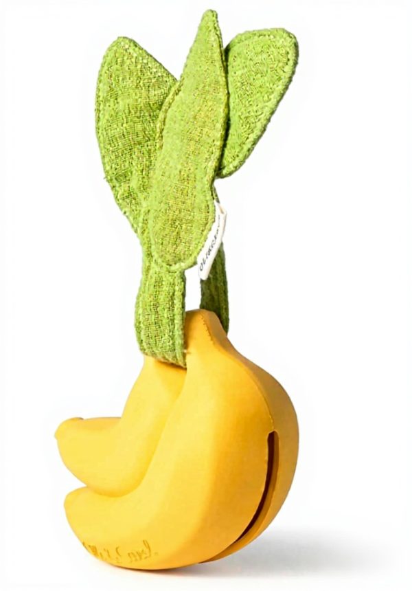 Boîte à Sucette Oli amp Carol Caoutchouc Naturel Ana Banana