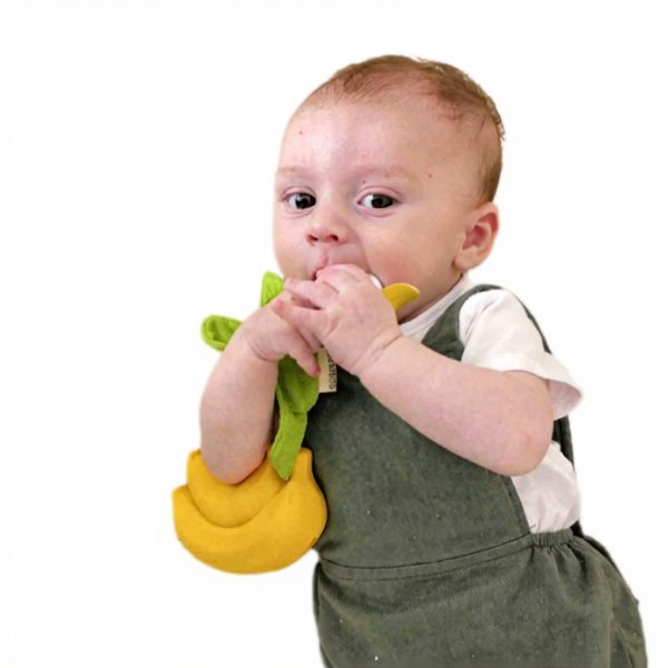 Boîte à Sucette Oli amp Carol Caoutchouc Naturel Ana Banana