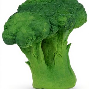 Jouet de dentition Oli amp Carol caoutchouc naturel bébé