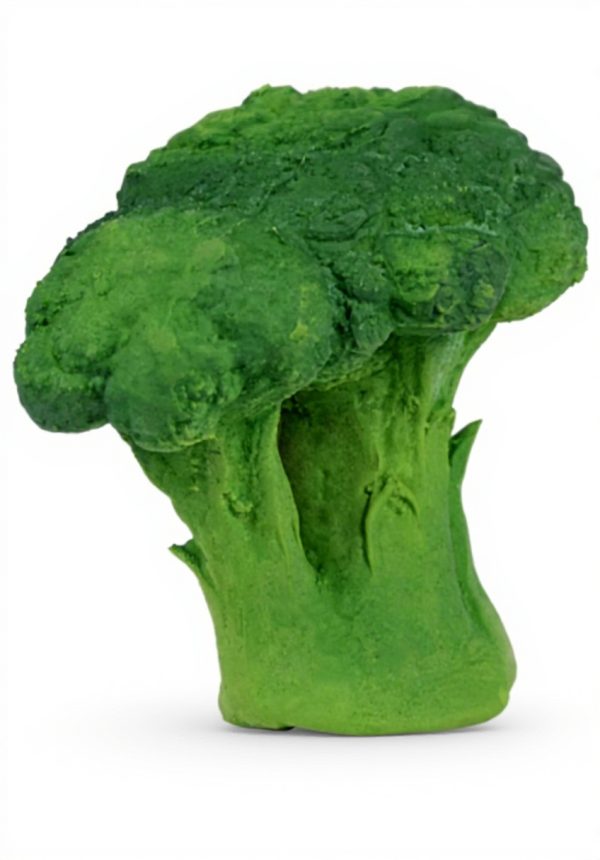 Jouet de dentition Oli amp Carol caoutchouc naturel bébé