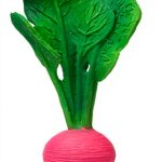 Anneau dentition bain bébé naturel Oli Carol radis