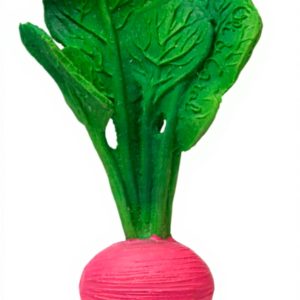 Anneau dentition bain bébé naturel Oli Carol radis