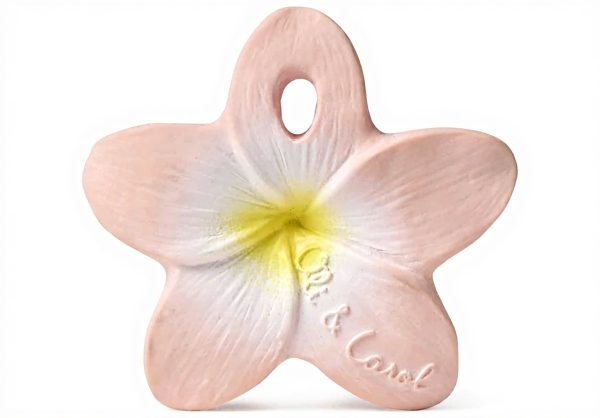 Anneau de dentition naturel bébé jouet bain Oli et Carol