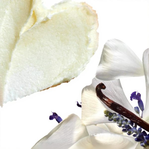 Après-shampoing hydratant Black Vanilla Carols Daughter