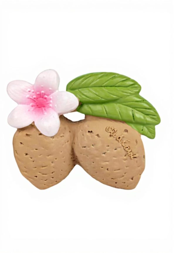 Anneau de dentition bébé Oli Carol caoutchouc naturel Aly