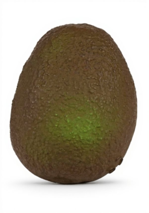 Jouet de bain avocat Oli amp Carol caoutchouc naturel