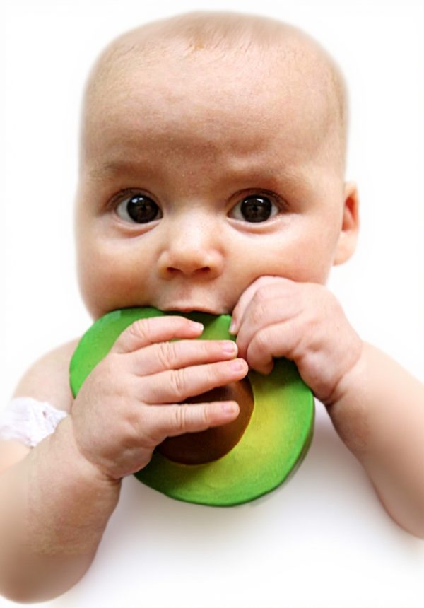 Jouet de bain avocat Oli amp Carol caoutchouc naturel