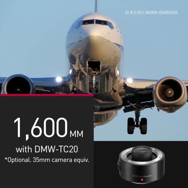 Objectif Panasonic Leica 100-400mm photo animalière sport-2