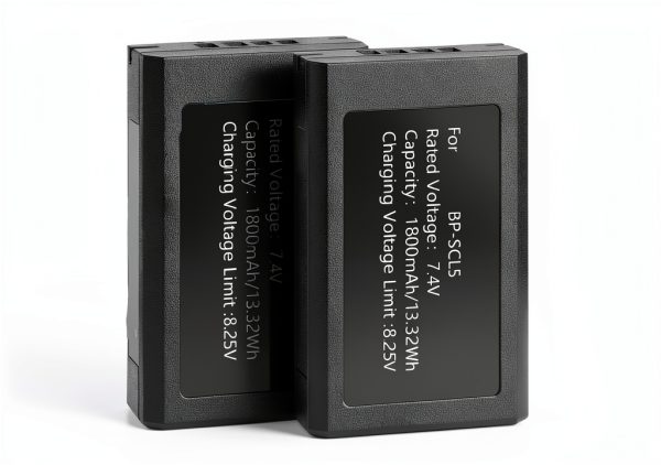 Batterie Leica M10 1800 MAh haute capacité 2 batteries