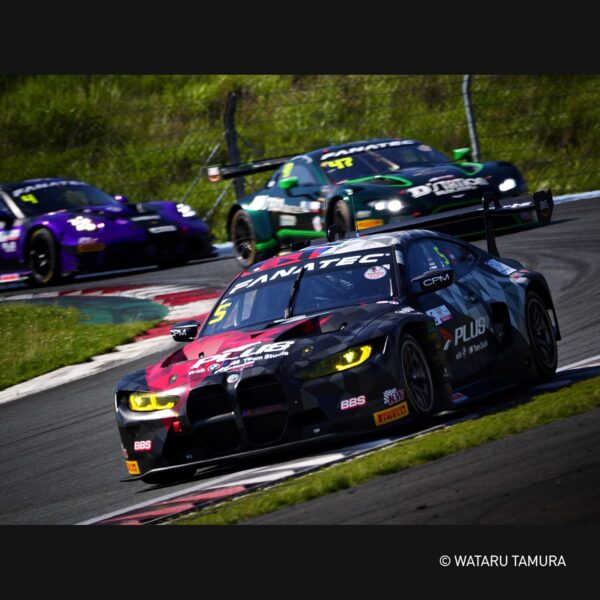 Objectif Panasonic Leica 100-400mm photo animalière sport-5