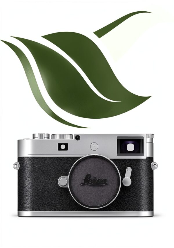 Livre Allemand Independently published 172 pages 2025-0